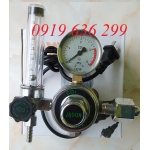 Đồng hồ CO2 220V