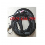 Súng Hàn TIG WP26F